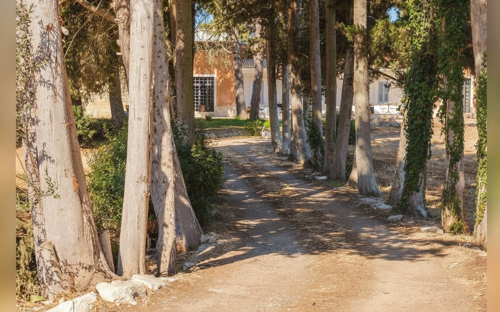 Masseria Cecora, 