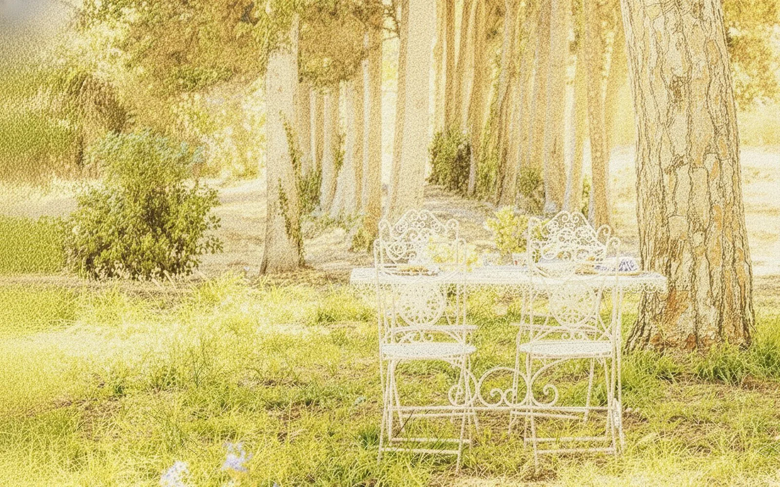 Masseria Cecora, 